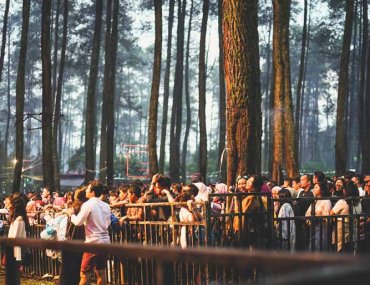 Lalala Festival
