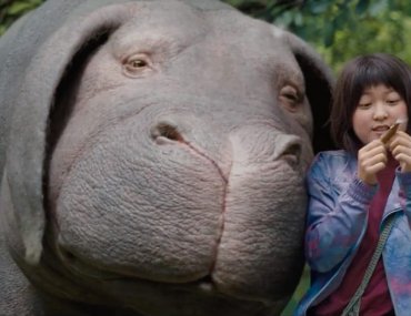 Okja, directed by Bong Joon-Ho, Mija (An Seo Hyun)