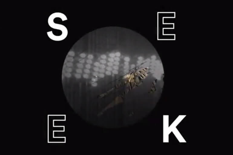 Polka Wars Seek Lyrics Video
