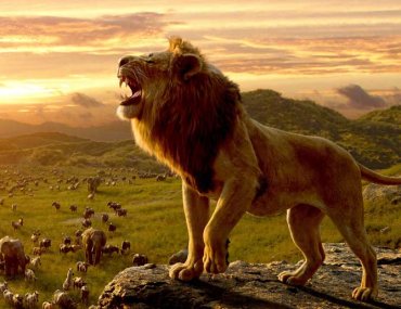 Lion King Live Action 2019 Movie Review