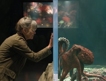 Remarkably Bright Creatures Netflix Review