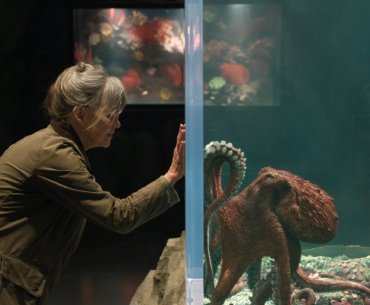 Remarkably Bright Creatures Netflix Review